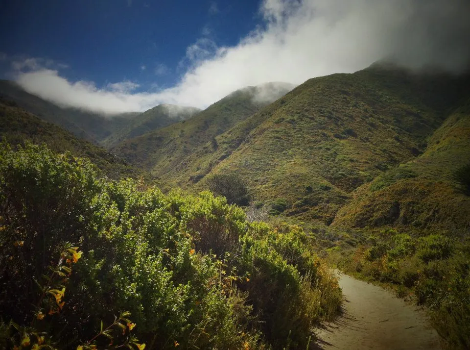 Fog drifting across the green Santa Lucia hills