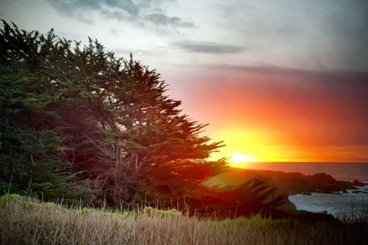 Sunset over the ocean through cypress trees at Garrapata