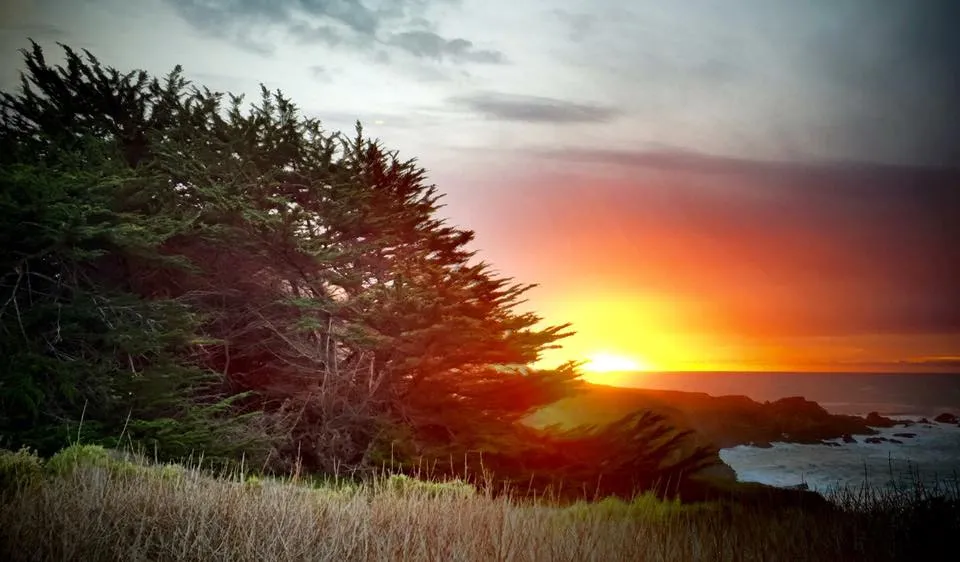 Sunset over the ocean through cypress trees at Garrapata