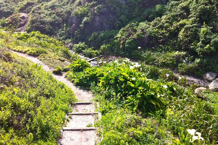 A footpath climbing a grassy coastal hillside at Garrapata